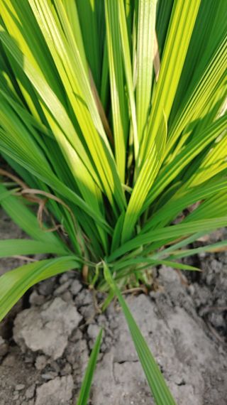 이용일님의 기타작물 · 자유게시판 작성글 사진