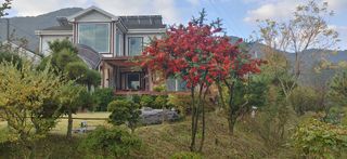 달맛햇복숭아농원님의 자유주제 · 사진전 작성글 사진