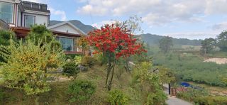 달맛햇복숭아농원님의 자유주제 · 사진전 작성글 사진