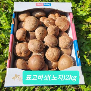헤라여신^^♡님의 가을 농장 자랑해주세요🧑‍🌾 · 참여글 작성글 사진