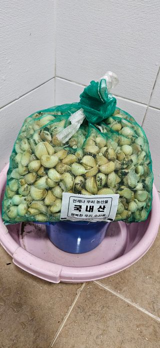 김둘점님의 마늘 · 일상 작성글 사진