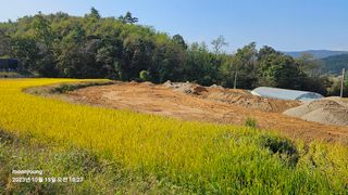 초보농부님의 벼 · 영농일지 작성글 사진