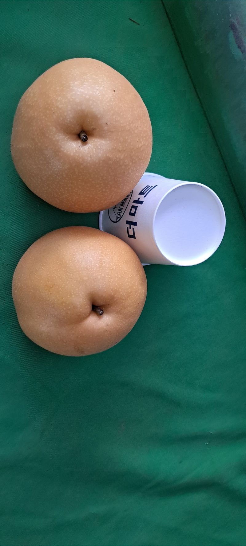 장터 상품 [신고배18키로이상] 썸네일