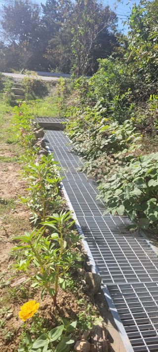 김정은님의 가을 농장 자랑해주세요🧑‍🌾 · 참여글 작성글 사진