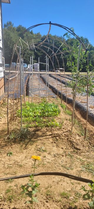 김정은님의 가을 농장 자랑해주세요🧑‍🌾 · 참여글 작성글 사진