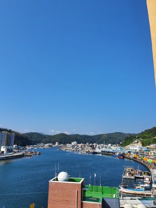 노가네수산님의 우리동네 · 동네정보 작성글 사진