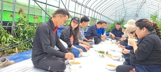 장기수님의 고구마 · 자유게시판 작성글 사진