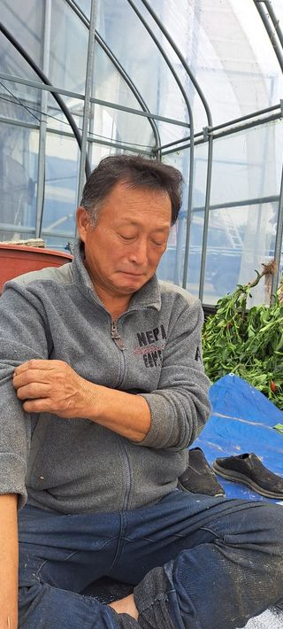 장기수님의 고구마 · 자유게시판 작성글 사진