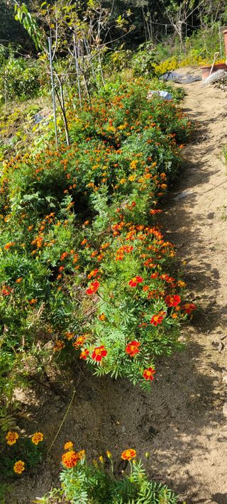 신현덕님의 자유주제 · 자유게시판 작성글 사진