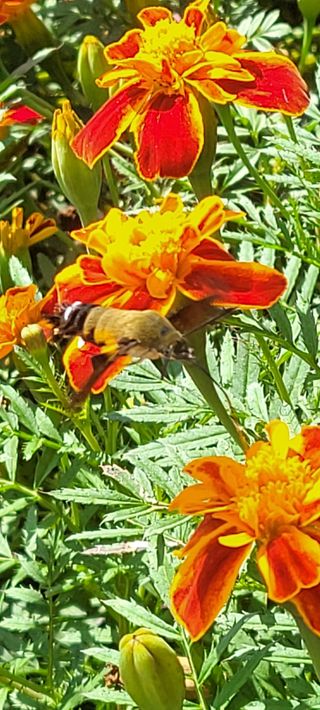 신현덕님의 자유주제 · 자유게시판 작성글 사진