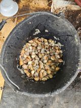 팜모닝 가을 농장 자랑해주세요🧑‍🌾·참여글 게시글 이미지