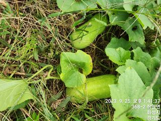 김효중님의 자유주제 · 자유게시판 작성글 사진