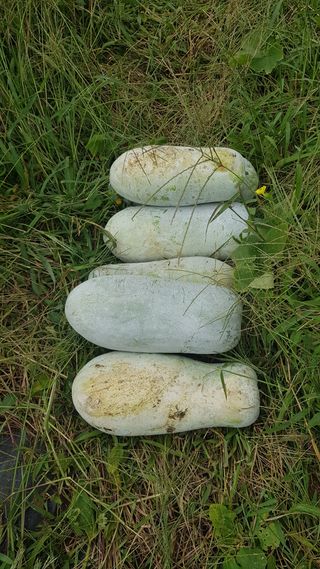 김효중님의 자유주제 · 자유게시판 작성글 사진