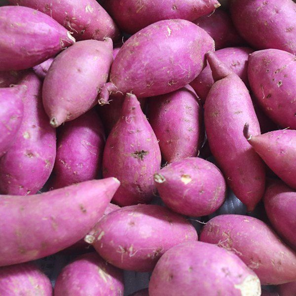 금호농장님의 장터 판매 상품 [금호농장 해남 친환경 무농약 세척 꿀고구마 베니하루카 3kg 5kg 10kg를 판매합니다] 첨부 사진