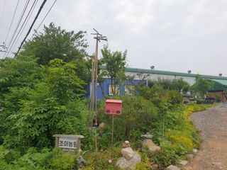 노경자님의 가을 농장 자랑해주세요🧑‍🌾 · 참여글 작성글 사진