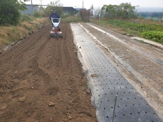 노경자님의 가을 농장 자랑해주세요🧑‍🌾 · 참여글 작성글 사진