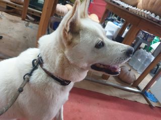 노경자님의 가을 농장 자랑해주세요🧑‍🌾 · 참여글 작성글 사진