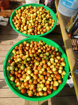 이덕수님의 자유주제 · 자유게시판 작성글 사진