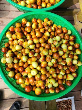 이덕수님의 자유주제 · 자유게시판 작성글 사진