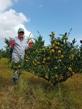 팜모닝 · 게시글 이미지