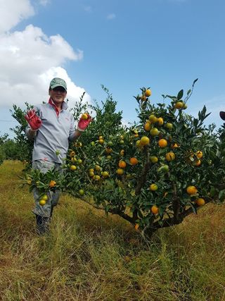변창신님의 작성글 사진