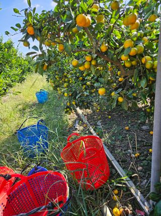 변창신님의 작성글 사진