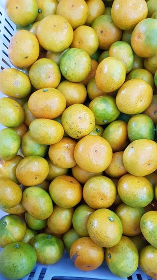 변창신님의 작성글 사진