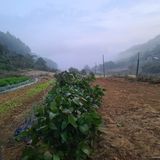 팜모닝 가을 농장 자랑해주세요🧑‍🌾·참여글 게시글 이미지