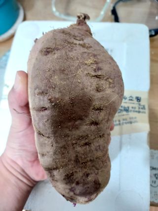 비옥토님의 자유주제 · 자유게시판 작성글 사진