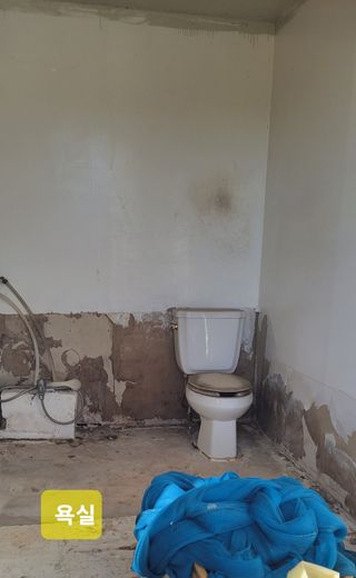 김중언님의 작성글 사진