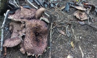 무진장UDT님의 자유주제 · 자유게시판 작성글 사진