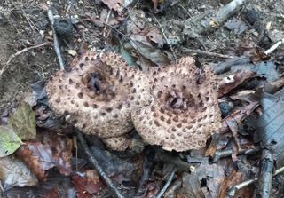 무진장UDT님의 자유주제 · 자유게시판 작성글 사진