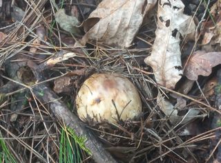 무진장UDT님의 자유주제 · 자유게시판 작성글 사진