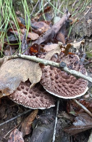 무진장UDT님의 자유주제 · 자유게시판 작성글 사진