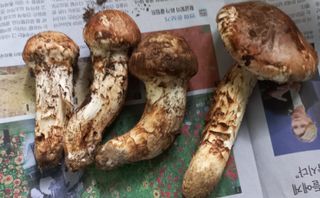 무진장UDT님의 자유주제 · 자유게시판 작성글 사진