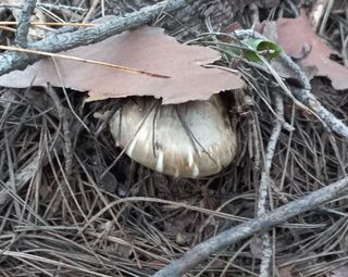 무진장UDT님의 자유주제 · 자유게시판 작성글 사진