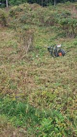 팜모닝 두릅·영농일지 게시글 이미지