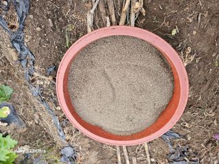 홍성덕님의 가을 농장 자랑해주세요🧑‍🌾 · 참여글 작성글 사진