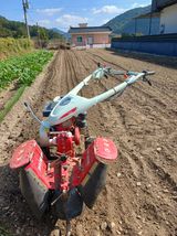 팜모닝 마늘·토양준비 게시글 이미지