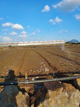 팜모닝 양파·자유게시판 게시글 이미지