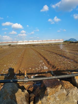 나는멋쟁이님의 양파 · 자유게시판 작성글 사진