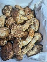 팜모닝 · 게시글 이미지