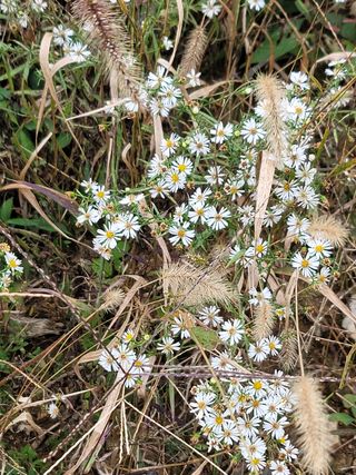 서성환님의 기타작물 · 영농일지 작성글 사진