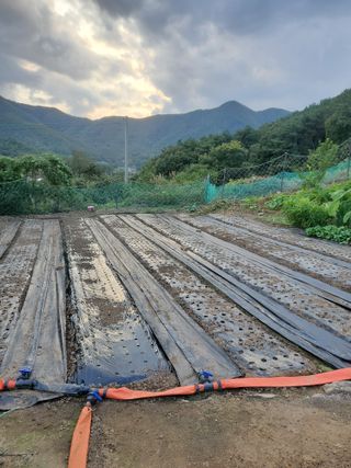 또비님의 자유주제 · 자유게시판 작성글 사진
