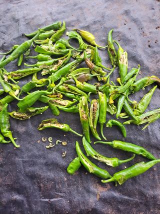 정자형님의 고추 · 병해충상담 작성글 사진