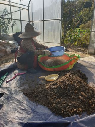 참깨8107님의 들깨 · 자유게시판 작성글 사진