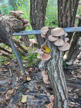 팜모닝 자유주제·자유게시판 게시글 이미지