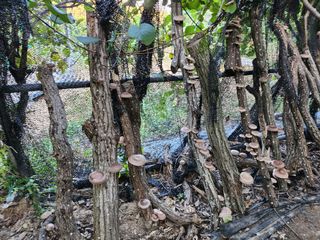 서원섭님의 자유주제 · 자유게시판 작성글 사진