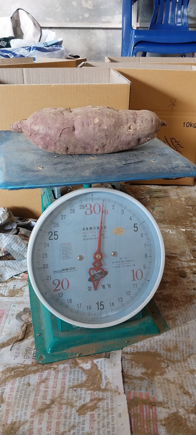 장터 상품 [유기농 꿀고무마 10키로 3만원 택배비 별도] 썸네일