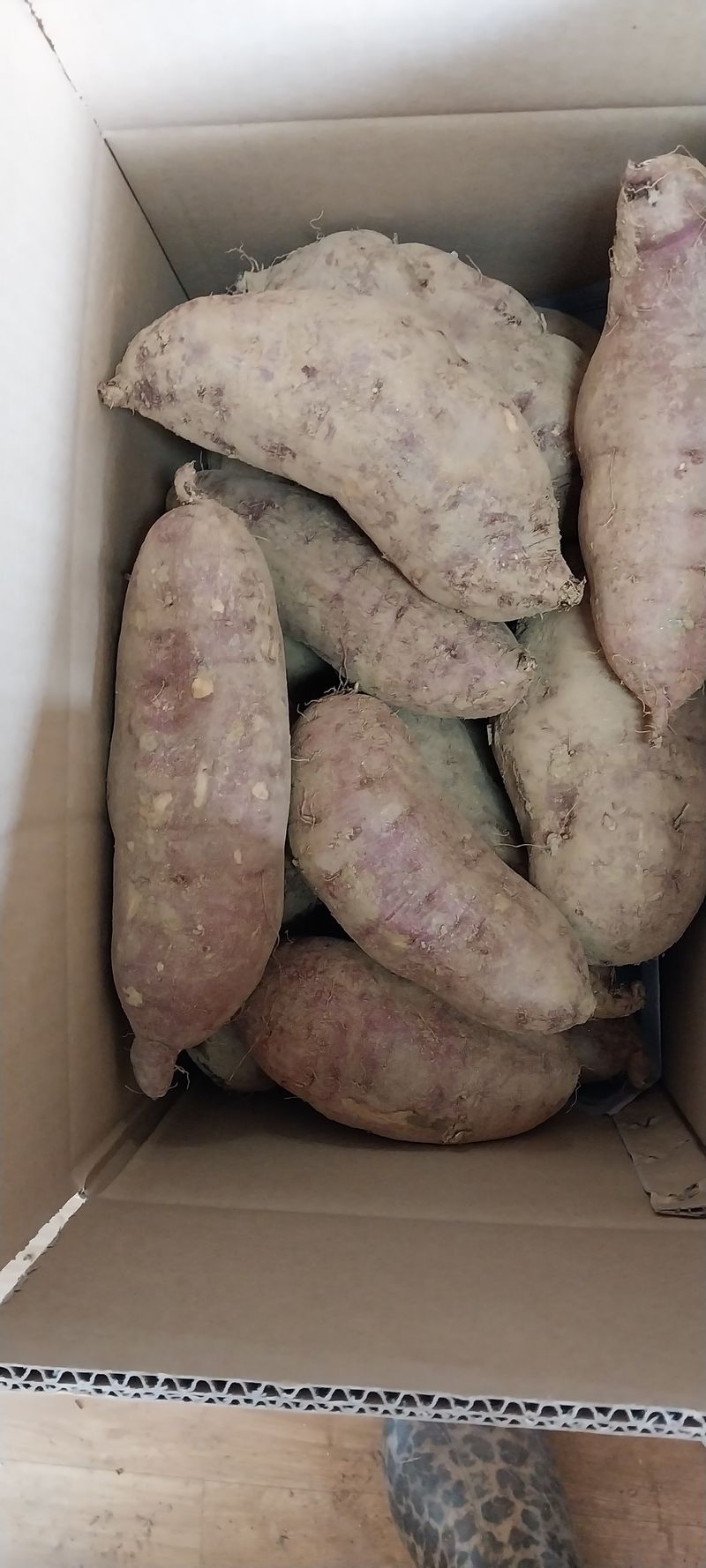 초록별천사님의 장터 판매 상품 [유기농 꿀고무마 10키로 3만원 택배비 별도] 첨부 사진